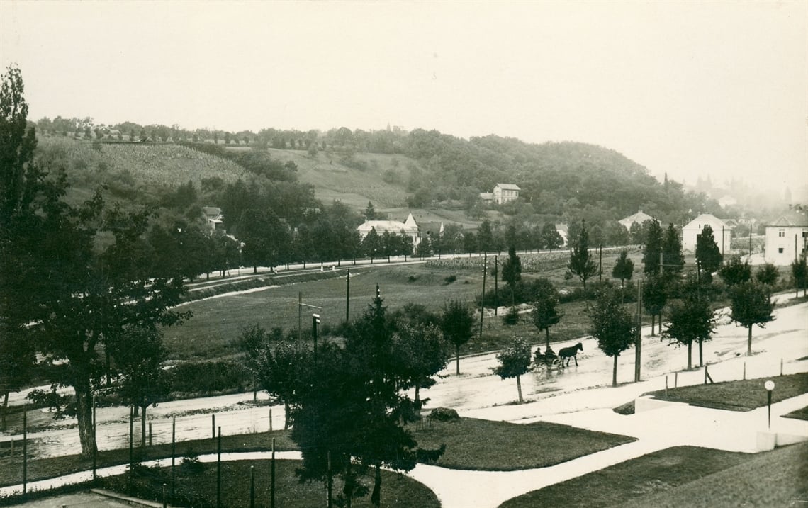 Ksaverska cesta kod Zvijezde 1930. godine (Foto Vladimir Horvat)